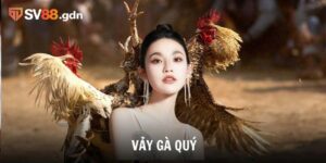 vảy gà quý